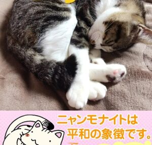 にゃんだふるニャンモナイト